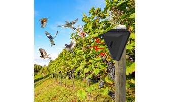Cum funcționează aparatele anti-păsări și care sunt cele mai eficiente metode de alungare a pasarilor