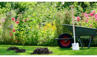 Cum pot scăpa de cărtițe: Ghidul dvs. complet