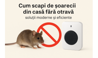 Cum scapi de șoarecii din casă fără otravă – soluții moderne și eficiente