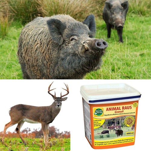 Animal Raus - Granule pentru alungarea animalelor salbatice precum porci mistreti,captioare etc.
