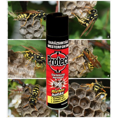 Spray aerosol pentru combatere viespi PROTECT